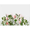 Inductiebeschermer - Wit met Roze Tulpen - 85x55 cm
