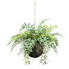 Kopu® Kunstplant BOL met diverse Varen Hangplanten 25 cm - Groen