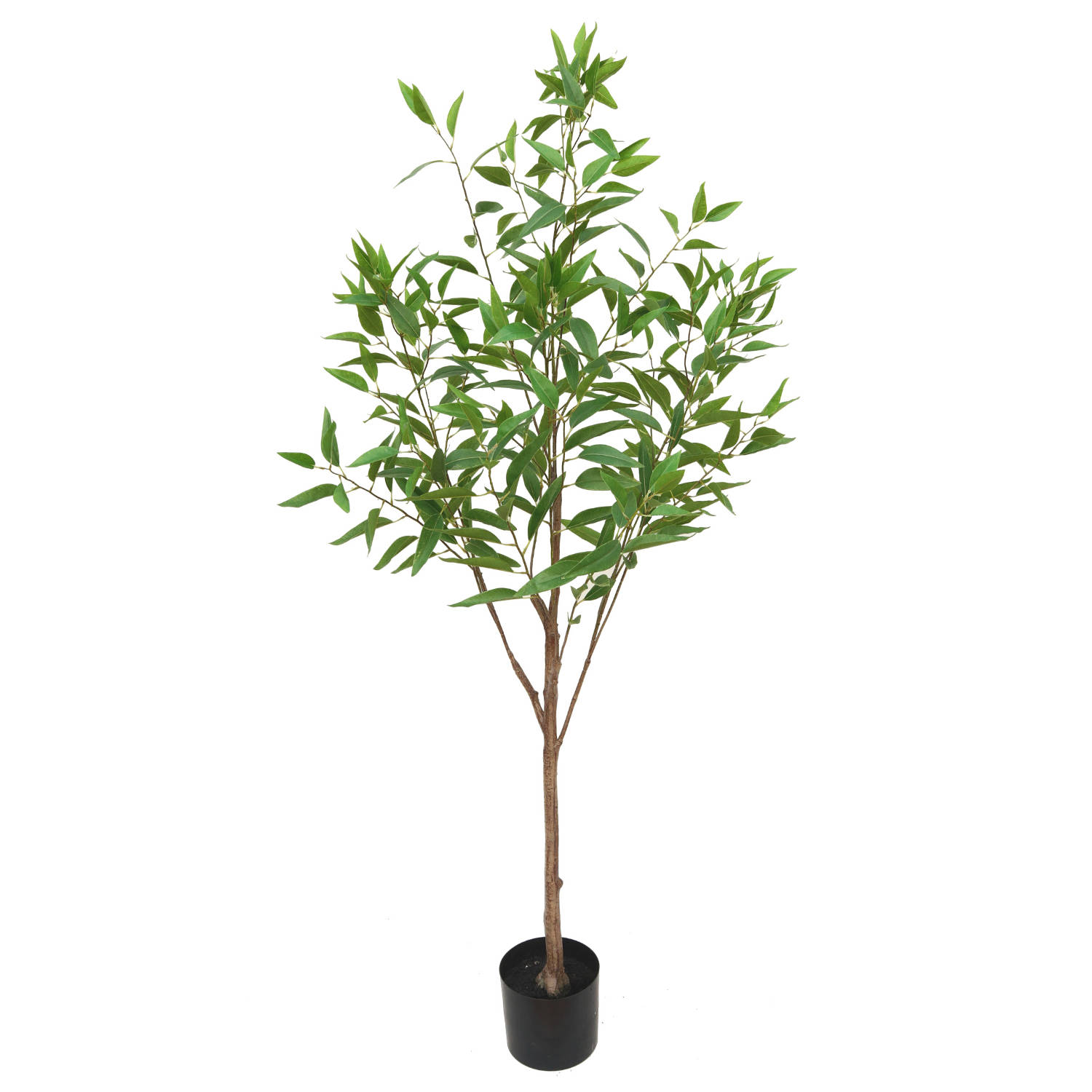 Eucalyptus Kunstplant 1 175cm
