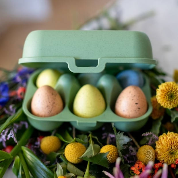 Koziol Bio-Circulair - Eggs To Go Mini Eierdoos - Gerecycled Zonnebloemolie - Groen