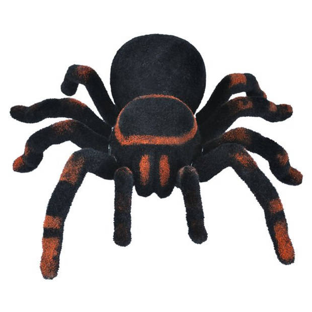 RC grote vogelspin/tarantula draadloos met afstandsbediening