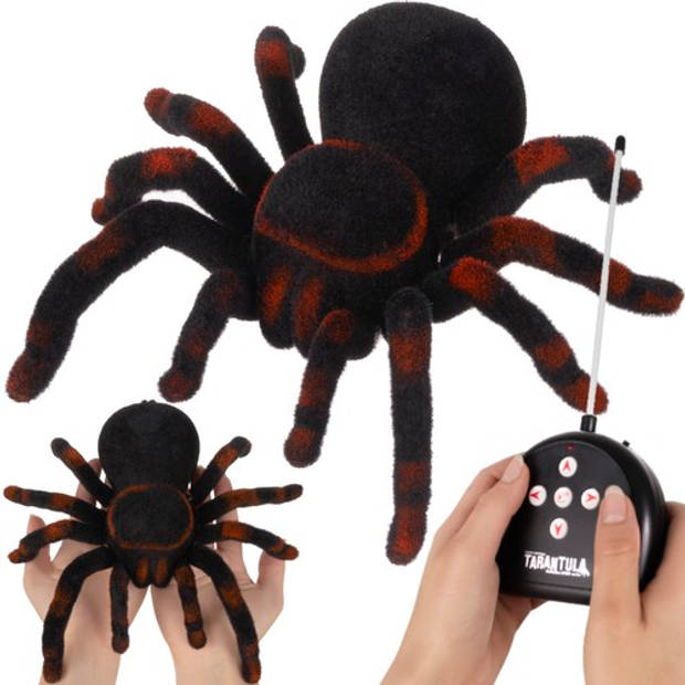 RC grote vogelspin/tarantula draadloos met afstandsbediening