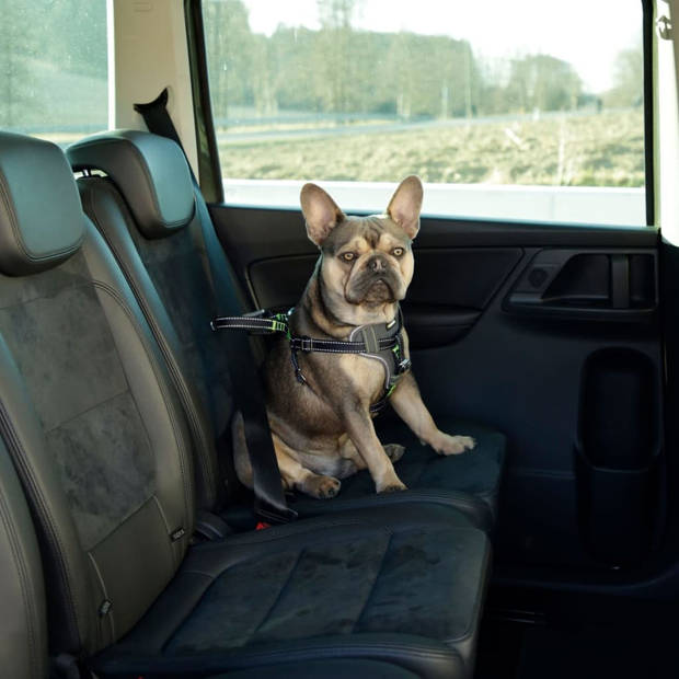 Kerbl Autoveiligheidstuig voor huisdieren 68-85 cm zwart