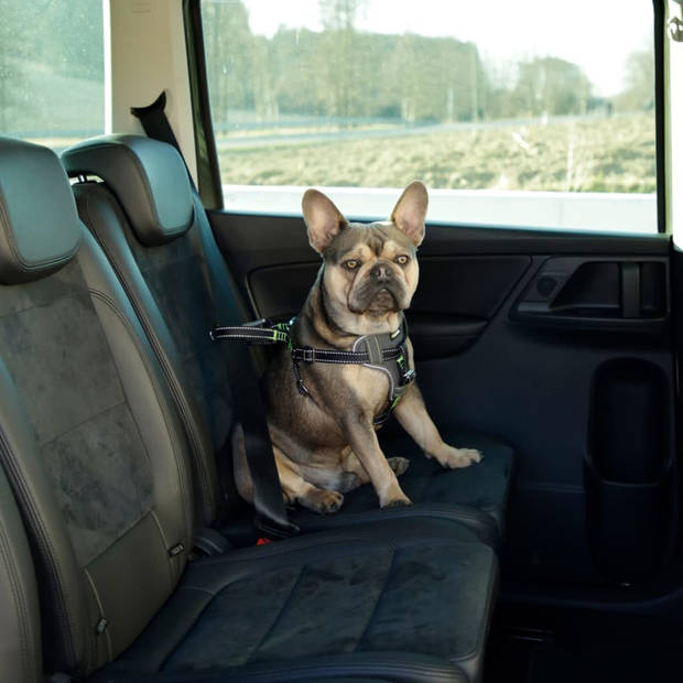 Kerbl Autoveiligheidstuig voor huisdieren 50-65 cm zwart