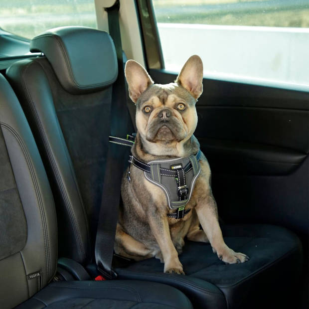 Kerbl Autoveiligheidstuig voor huisdieren 50-65 cm zwart