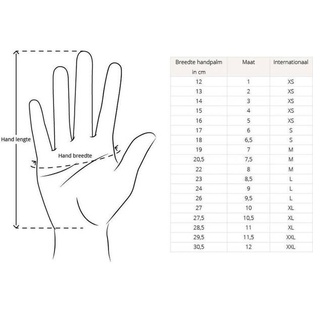 FEDEC Touchscreen Handschoenen - Waterdicht - Winddicht - Fleece - Zwart - Maat L