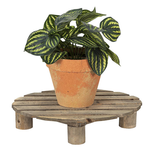 Clayre & Eef Plantentafeltje 30x24x6 cm Bruin Hout Ovaal Plantenstandaard Bruin Plantenstandaard