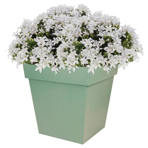 Bloempot Toscane vierkant kunststof groen L32 x B32 x H32 cm - Plantenpotten