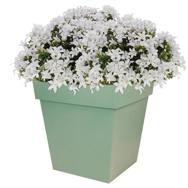 Bloempot Toscane vierkant kunststof groen L39 x B39 x H39 cm - Plantenpotten