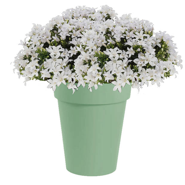 Bloempot Toscane kunststof groen D44 x H53 cm - Plantenpotten