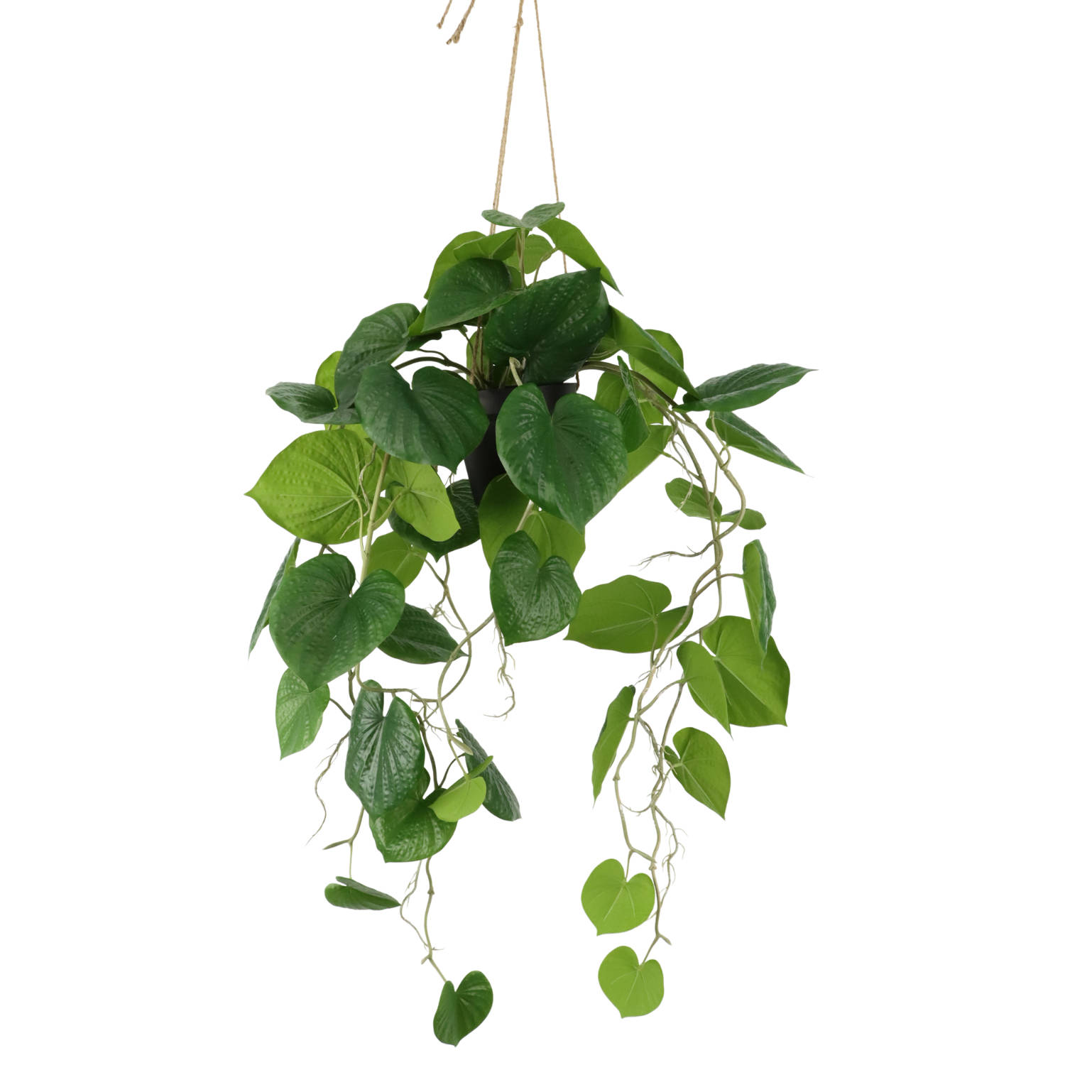 Neocheiropteres Kunst hangplant 80cm | Neppe Hangplant | Kunstplant voor binnen | Hangende kunstplant 80cm