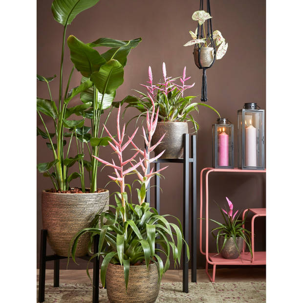 Mica Decorations Plantenpot - terracotta - zwart/goud - D24/H22 cm - Plantenpotten