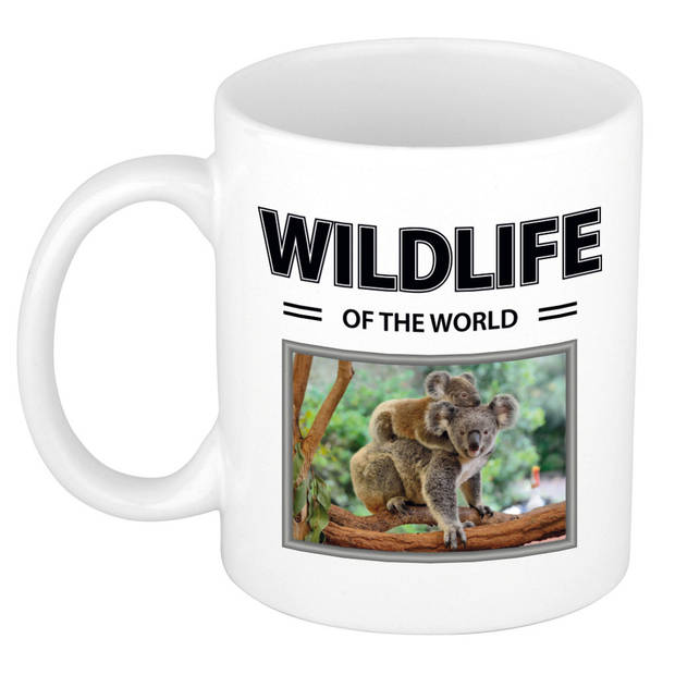 Foto mok Koala mok / beker - wildlife of the world cadeau Koala's liefhebber - feest mokken