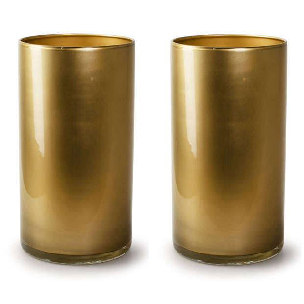 2x Stuks Bloemenvazen - cilinder model glas - metallic goud - H30 x D15 cm - Vazen