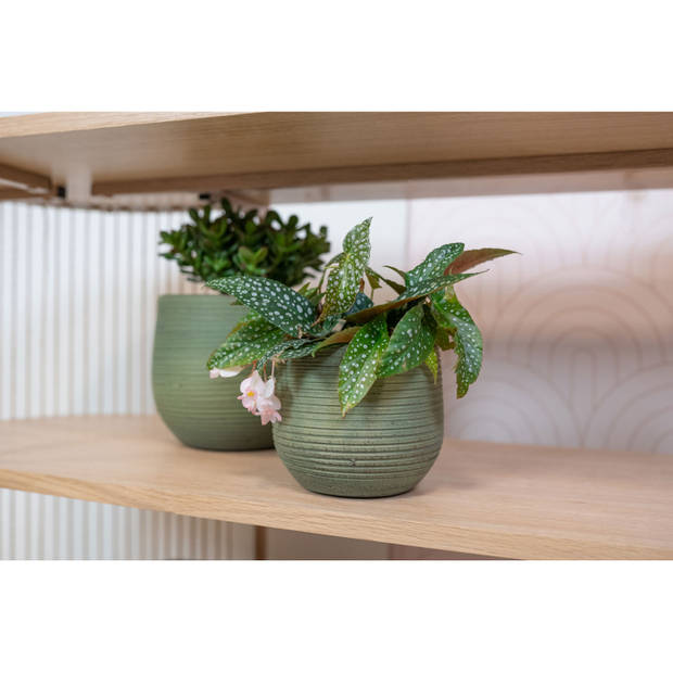 Ter Steege Plantenpot - keramiek - donkergroen - stripes - 26x25cm - Plantenpotten
