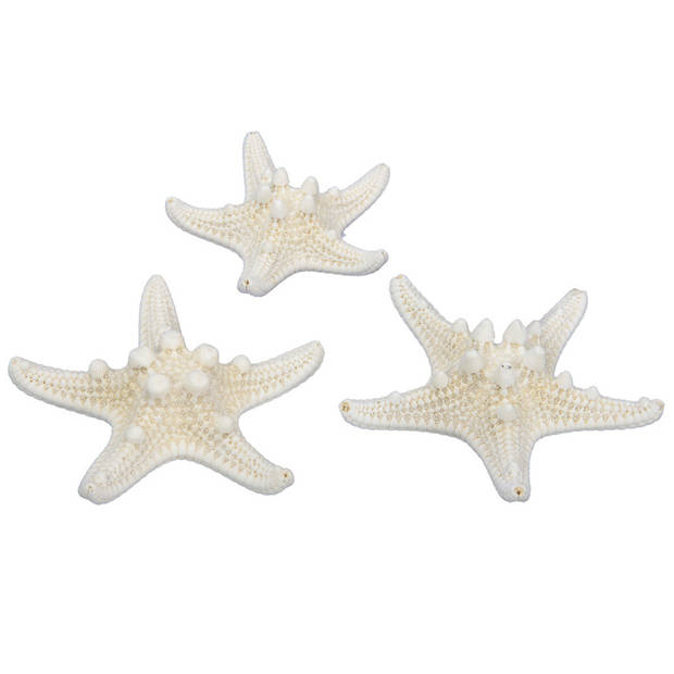 Othmar Decorations Decoratie zeesterren mix - 40x stuks - 5-10 cm - Hobbydecoratieobject