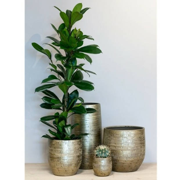 Bela Arte Plantenpot - keramiek - goud glans - D18-H16 cm - Plantenpotten
