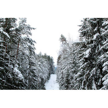 Inductiebeschermer - Snow road - 91.2x52 cm