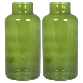 Set van 2x bloemenvazen - groen/transparant glas - H30 x D15 cm - Vazen