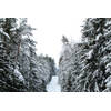 Inductiebeschermer - Snow road - 91.2x52 cm