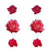 Set van 2x hang decoratie rozen - Hangdecoratie