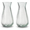 2x Stuks Bloemenvazen - helder/transparant glas - H24 x D13.5 cm - Vazen