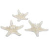 24x stuks decoratie zeesterren - naturel wit - 5-7 cm - Hobbydecoratieobject