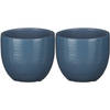 2x stuks plantenpot/bloempot blauw glans met flakes patroon - D14/H12 cm - Plantenpotten