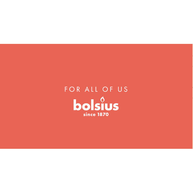 Bolsius - 420 Waxinelichtjes - 6 branduren - Grootverpakking