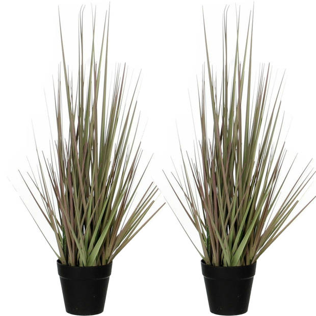 2x stuks mica Decorations - gras kunstplant - groen/paars - H53 x D30 cm - Kunstplanten