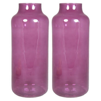 Floran Bloemenvaas Milan - 2x - transparant paars glas - D15 x H35 cm - melkbus vaas met smalle hals - Vazen