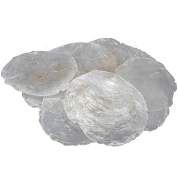 Decoratie/hobby oester schelpen - 1 kg - naturel - Hobbydecoratieobject
