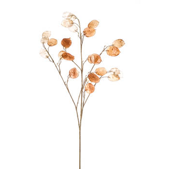 Kunstbloem Lunaria 55cm caramel