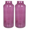 Floran Bloemenvaas Milan - 2x - transparant paars glas - D15 x H35 cm - melkbus vaas met smalle hals - Vazen