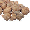 Decoratie/hobby schelpen - 1 kg - naturel bruin - Hobbydecoratieobject