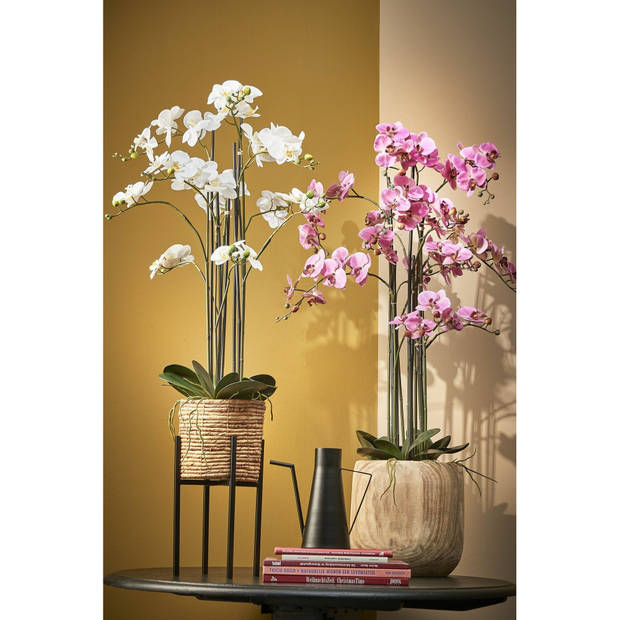 Mica Decorations Orchidee bloem kunstplant - parel wit - H97 x B19 cm&nbsp; - Kunstplanten