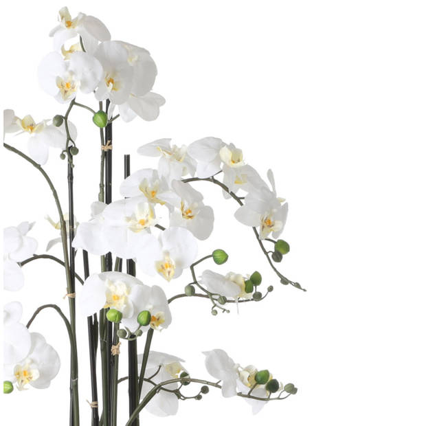 Mica Decorations Orchidee bloem kunstplant - parel wit - H97 x B19 cm&nbsp; - Kunstplanten