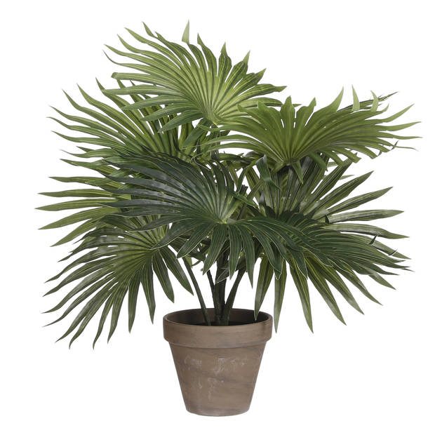 Mica Decorations Palm kunstplant/struik - 2x - groen - H40 x D35 cm - Kunstplanten