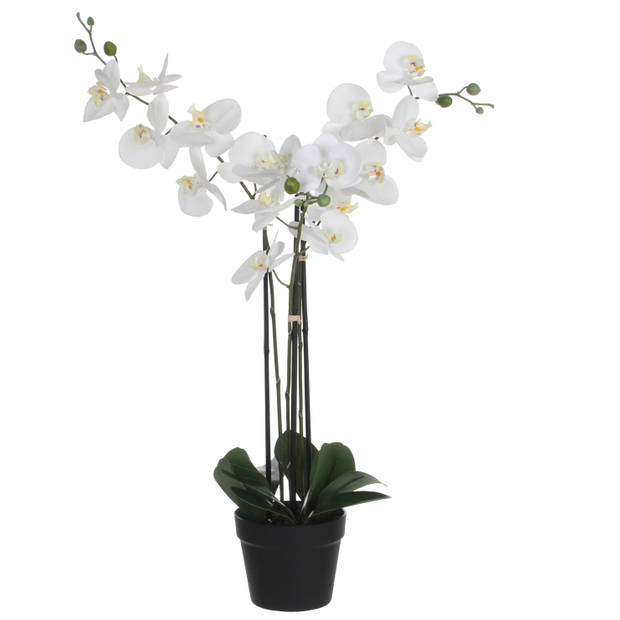 Orchidee kunstplant wit - 75 cm - inclusief bloempot zwart glans - Kunstplanten