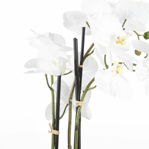 Mica Decorations Orchidee bloem kunstplant - wit - H75 x B50 cm - Kunstplanten