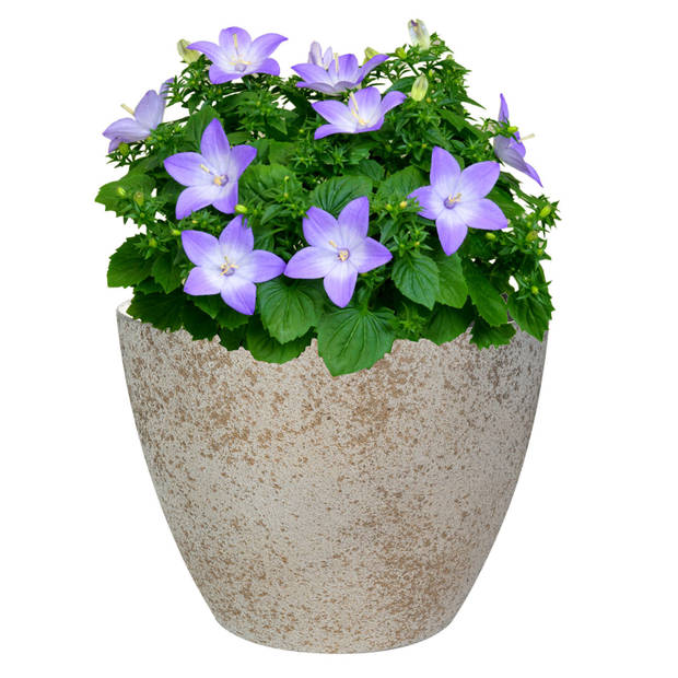 Ter Steege Bloempot/plantenpot - buiten - beige/goud - D13/H12 cm - kunststof/steenmix - Plantenpotten