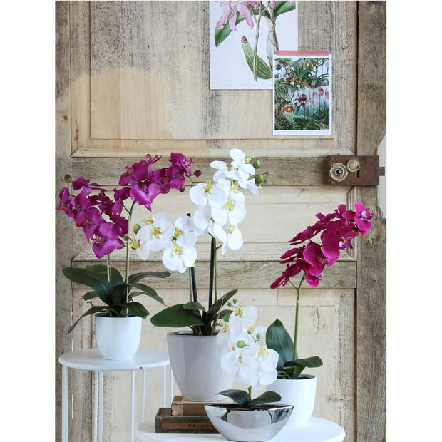 Mica Decorations Orchidee bloem kunstplant - roze - H66 x B38 cm - Kunstplanten