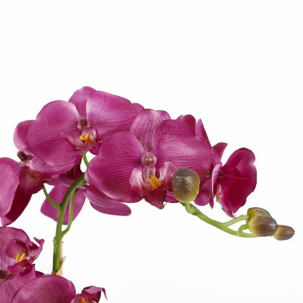 Mica Decorations Orchidee bloem kunstplant - roze - H66 x B38 cm - Kunstplanten