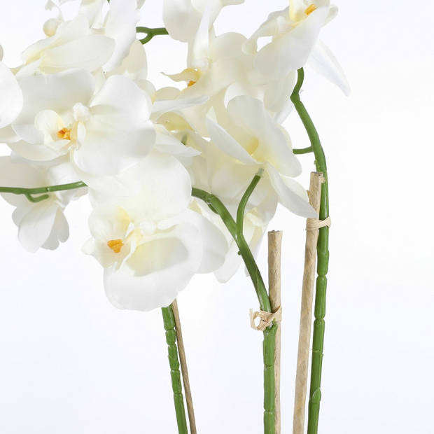 Mica Decorations Orchidee bloem kunstplant - parel wit - H66 x B38 cm - Kunstplanten