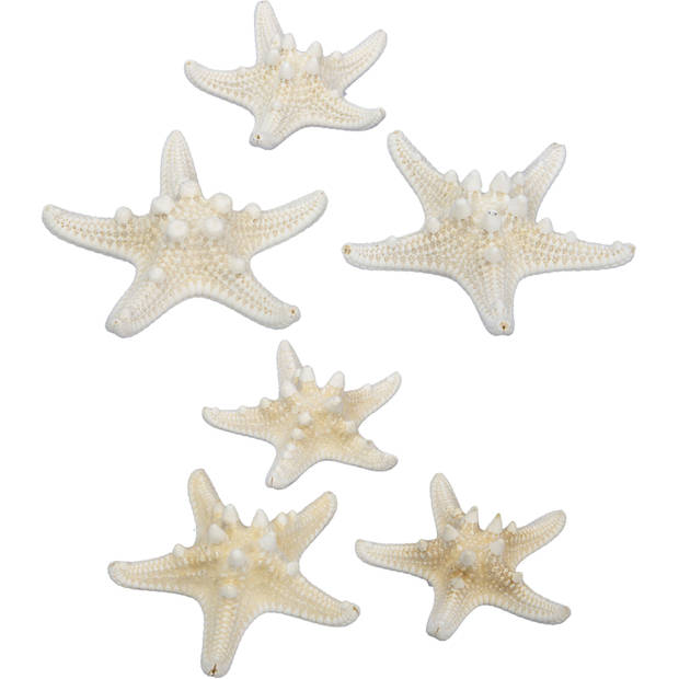 Othmar Decorations Decoratie zeesterren mix - 40x stuks - 5-10 cm - Hobbydecoratieobject