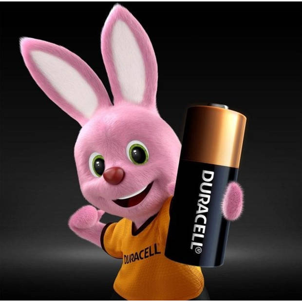 Duracell Alkaline MN21 - batterij - 2 stuks