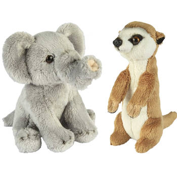 Safari dieren serie pluche knuffels 2x stuks - Olifant en Stokstaartje van 15 cm - Knuffeldier