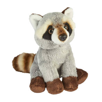 Pluche knuffel dieren Wasbeer 15 cm - Knuffeldier