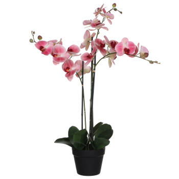 Mica Decorations Orchidee bloem kunstplant - roze - H75 x B50 cmA - Kunstplanten