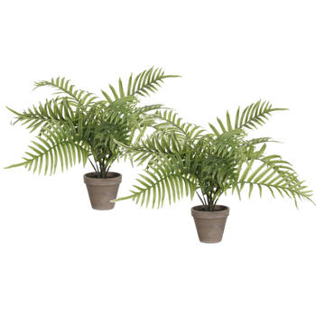 Mica Decorations Palm kunstplant/struik - 2x - groen - H53 x D45 cm - Kunstplanten